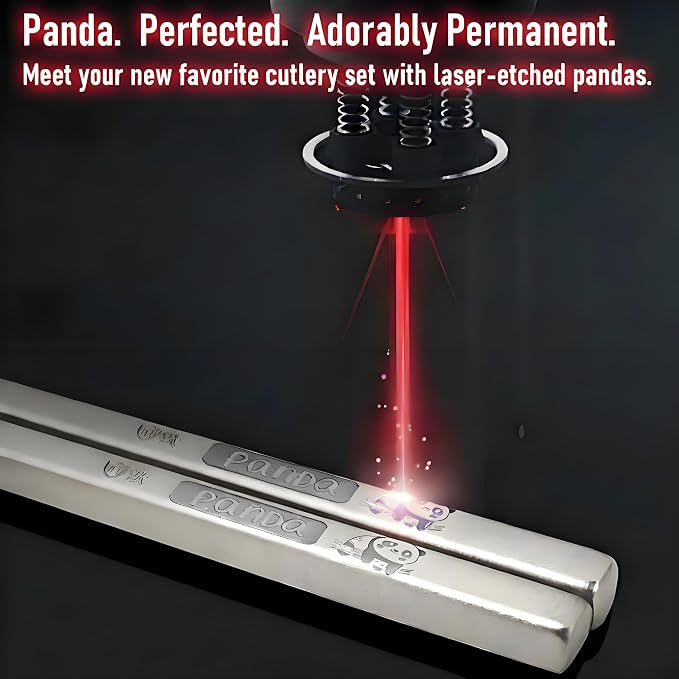 Titanium-plated stainless steel chopsticks with Training Helpers - Premium Reusable Non-Slip & Lightweight Metal Chopsticks Set, Dishwasher Safe, Furniture Kitchen Premium Gift Set (Silver)