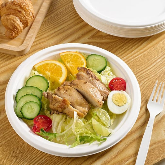 Vplus 500 Pack Paper Plates 9 inch 100% Compostable, Heavy-Duty Disposable Paper Plates Bagasse Natural Biodegradable Eco-Friendly Sugarcane(White)