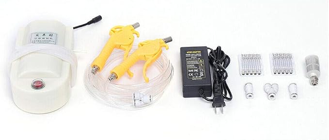 Electric Meat Marinade Injector Pump with Dual Guns, 10 Stainless Steel Needles, Food-grade Silicone Tube, 50W Electric Pump Gun for Lamb, Beef, Pork, BBQ, Home Kitchen Cooking, Easy to Use and Clean
