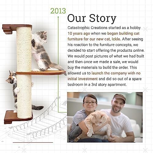 CatastrophiCreations Cat Fort Set - Multiple-Level Cat Hammock & Climbing Activity Center Wall-Mounted Cat Tree Shelves