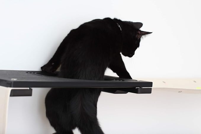 CatastrophiCreations Deluxe Maze Set for Cats Multiple-Level Wall Mounted Scratch, Hammock Lounge, Play & Climbing Activity Center Furniture Cat Tree Shelves, Onyx/Natural (MZP11ONNT)