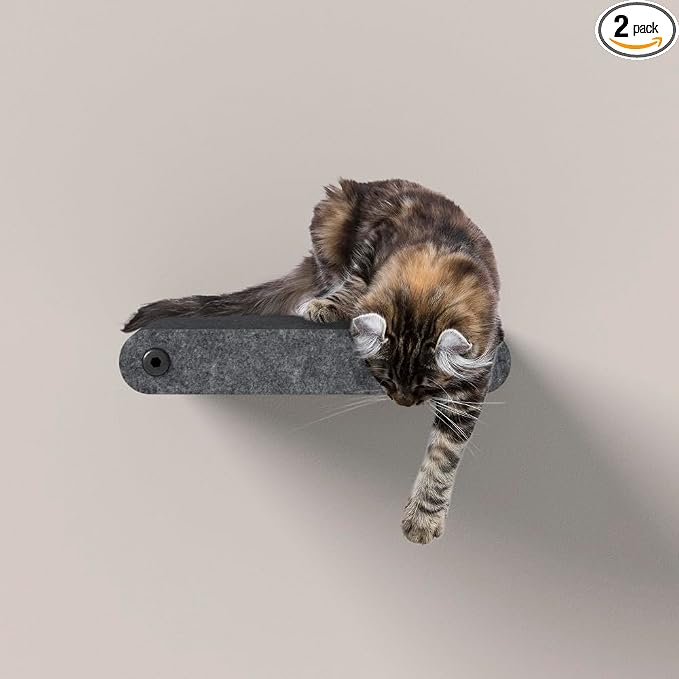 Wall Mounted Cat Steps Short Shelves (2) by Pryde Pets - Stairs for Walkways, 100% Sustainable PET Felt Feline Enrichment Climber Furniture for Indoor Cats, Modern Climbing Gym Design (Charcoal)