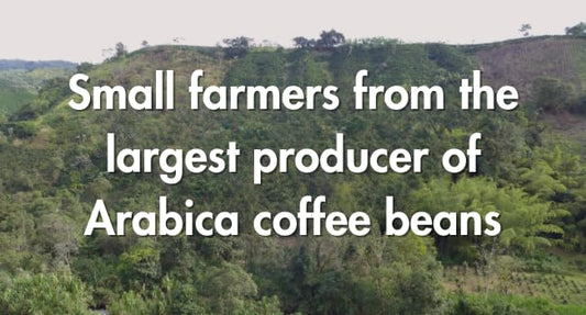 Café Grumpy Low Acid, Decaf Coffee, Pregnancy Safe, Ground French Press, Medium Roast, Single Origin, Premium Quality, Gentle on Stomach