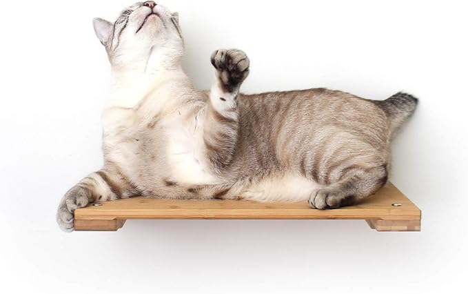 Catastrophic Creations Cat Perch, Mounting Wall Cat Shelves, Strong & Sturdy Onyx Bamboo Wood Cat Tree Floating Shelf, Lounger Cat Shelf, Cat Furniture for Indoor Cats, 18”