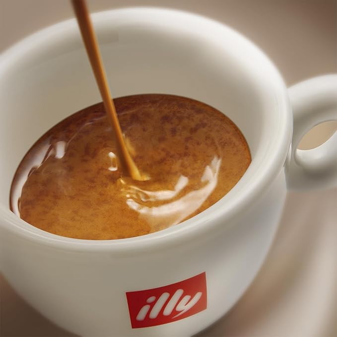 illy Arabica Selections Nicaragua Whole Bean Coffee, 100% Arabica Bean Single Origin Coffee, No Preservatives, 8.8oz (Pack of 1)
