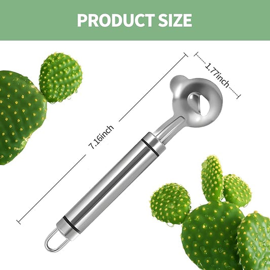 2 PCS Cactus Peeler Tool – Cactus Peeling Spoon, Pelador de Nopales, Multi-Function Nopal Cactus Cutter, Stainless Steel Nopales Peeler with Groove Edge for Peeling Nopales and Noodle