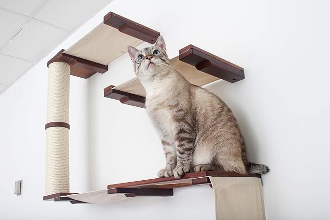 CatastrophiCreations Deluxe Cat Fort Wall Mounted Lounge Climb and Play Furniture Cat Tree Shelves DLF11ENCH English Chestnut Bamboo/Charcoal Gray Canvas