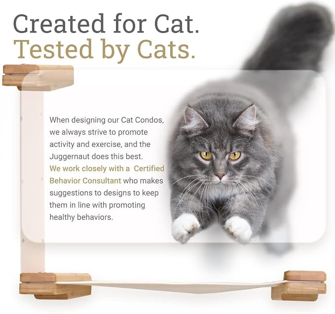 CatastrophiCreations 34" Cat Shelf Wall Mounted Elevated Climb, Lounge and Play Furniture Cat Tree Shelves