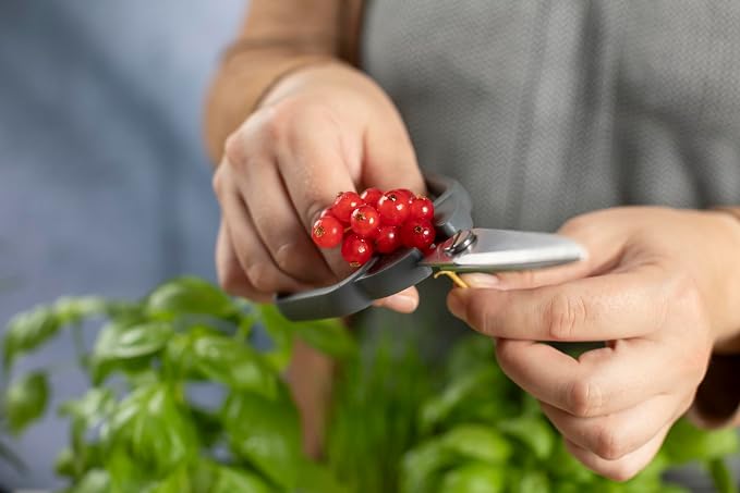 Kuhn Rikon Kitchen Shears Compact | Self-Sharpening Blades, Spring-Loaded Design, Right or Left Hand Use