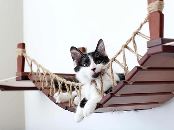 CatastrophiCreations Cat Bridge Wall-Mounted Play and Lounge Toy Cat Tree with Fabric Lounger for Pets, Onyx Bamboo/Natural Canvas