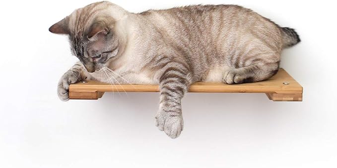CatastrophiCreations Solid Wood Cat Shelf Handcrafted Wall-Mounted Cat Furniture, Onyx, 18"