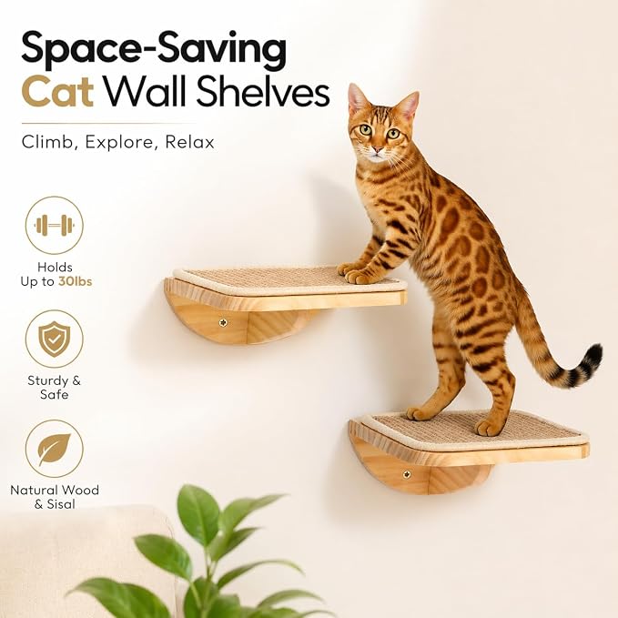 Wall Mounted Cat Steps 2 Pack – Square Wood Cats Shelves with Sisal Mat for Climbing, Jumping & Resting