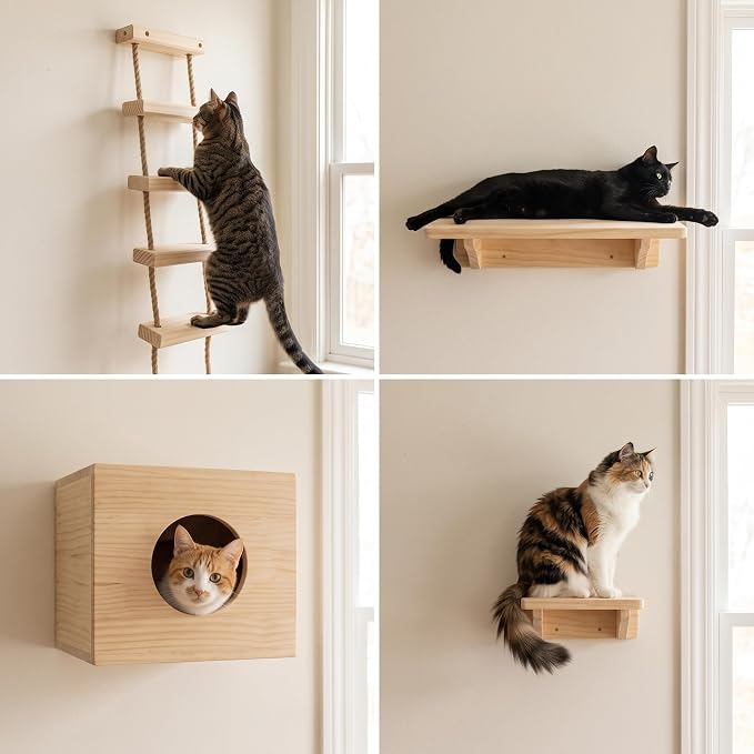with Shelves for Climbing and Play, Small Jumping Platform