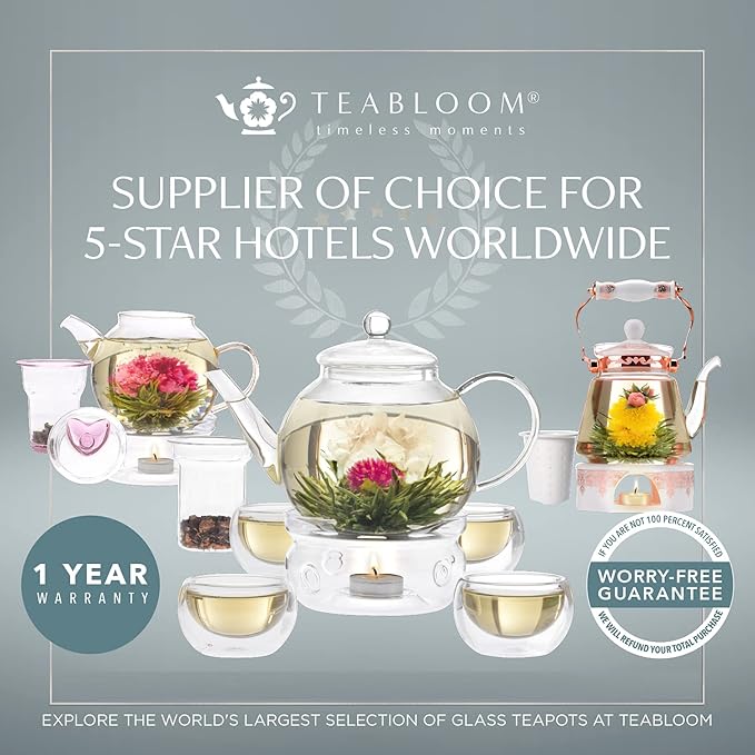 Teabloom Kyoto 2-in-1 Tea Kettle and Tea Maker – Glass Teapot with Removable Loose Tea Filter – Tea Connoisseur's Choice