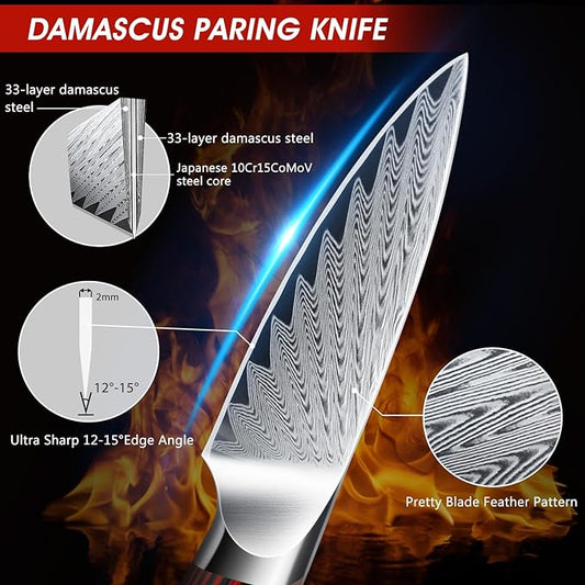 HOSHANHO Paring Knife 3.75 Inch Small Kitchen Knife, Super Sharp Damascus Steel Fruit Knife, Multifunctional Peeling Knife for Cutting Fruit Vegetables