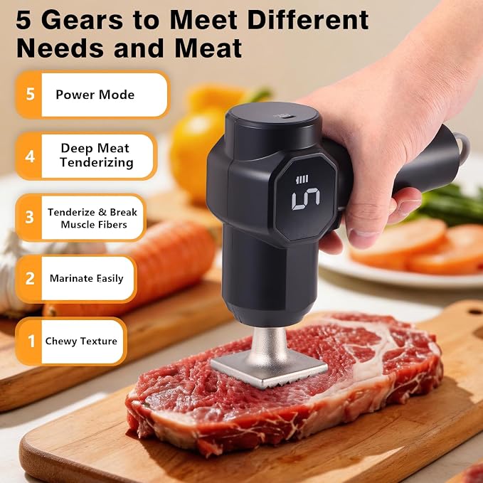 Electric Meat Tenderizer Tool with 5 Adjustable Levels | Stainless Steel Detachable Head, Head Dishwasher Safe, 3000mAh Battery for Beef Steak Pork Chicken Chops Kitchen Utensils