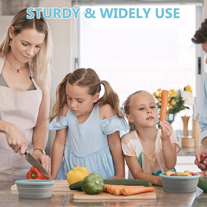 4 Pcs Collapsible Bowls with Lids Silicone Camping Food Storage Container Expandable Folding Salad Lunch Box Travel Container for Hiking Camping