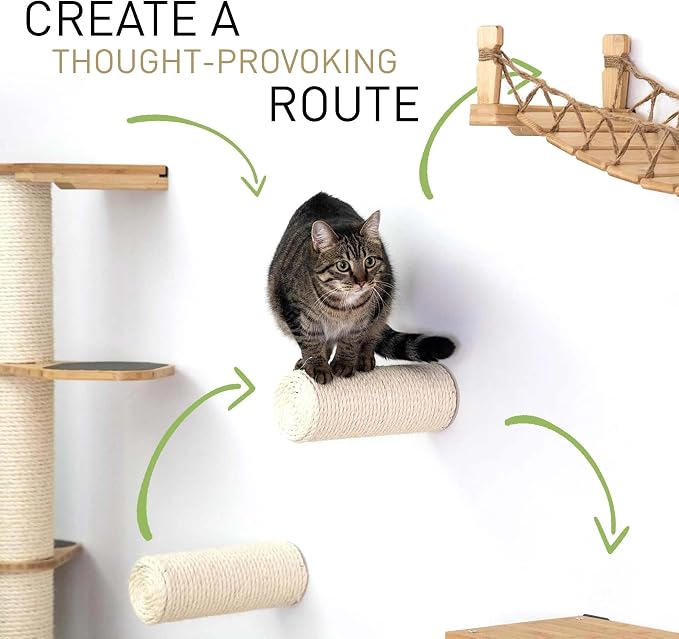 CatastrophiCreations 34" Cat Shelf Wall Mounted Elevated Climb, Lounge and Play Furniture Cat Tree Shelves