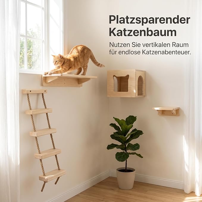 with Shelves for Climbing and Play, Small Jumping Platform