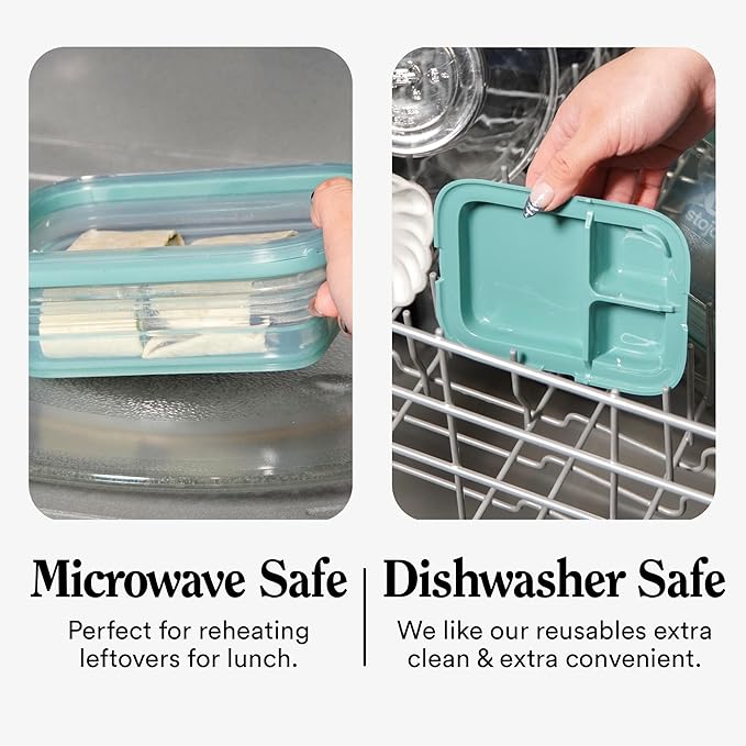 STOJO Collapsible Bento Box, Reusable, Leak-Proof, Microwave & Dishwasher Safe, Premium Lunch Container with Divider – Space-Saving, Transparent Design (Eucalyptus, 2.75-Cup/650mL)