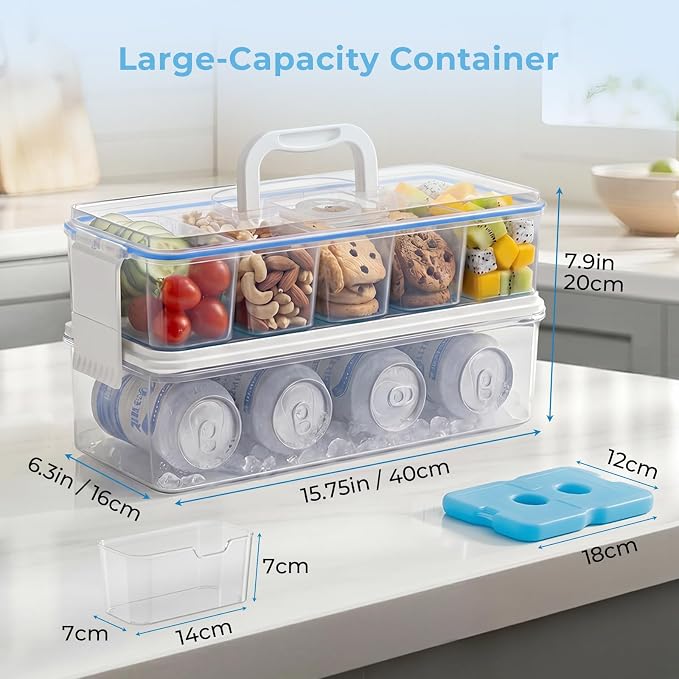 Homelove Snackle Box Container with 2 Plastic Ice Packs, Snack Organizer Divided Serving Tray with Lid and Handle, Double-layer Tray and 5-Compartment Snack Platter for Travel Party Beach Picnic