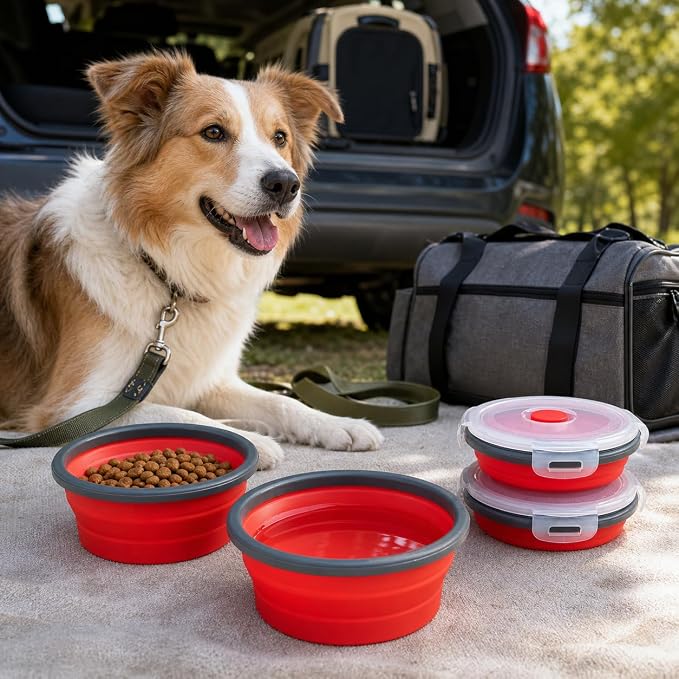 Guyuyii 4 Pack Food-Grade Silicone Collapsible Bowls with Lids for Camping | BPA-Free Round Nesting Set for RV Travel, Hiking, and Outdoor Recreation Activities | Microwave, Freezer, Dishware Safe