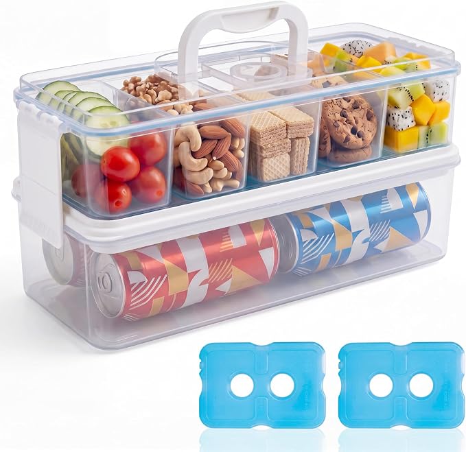 Homelove Snackle Box Container with 2 Plastic Ice Packs, Snack Organizer Divided Serving Tray with Lid and Handle, Double-layer Tray and 5-Compartment Snack Platter for Travel Party Beach Picnic