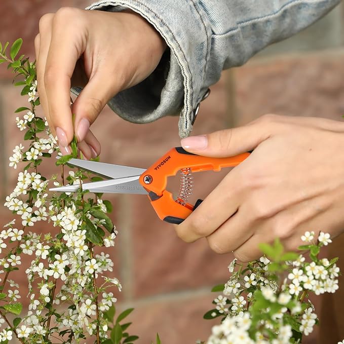 VIVOSUN 12-Pack 6.5 Inch Gardening Scissors Hand Pruner Pruning Shear with Straight Stainless Steel Blades Orange