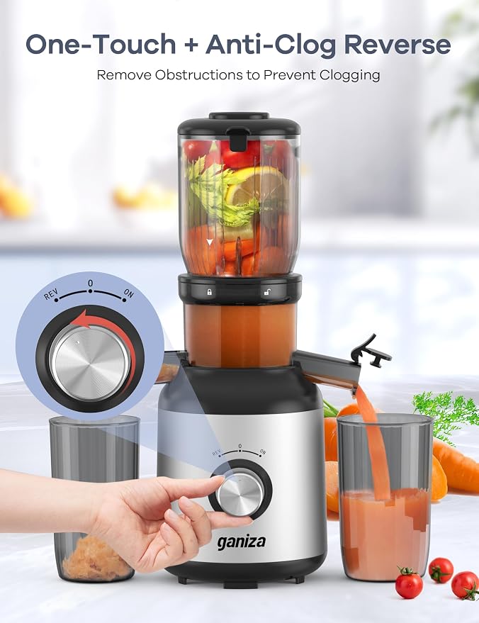 Ganiza Cold Press Juicer Machines, 4.06" Wide Feed Chute, High Juice Yield | Slow Masticating Extractor for Whole Fruits & Vegetables, 3 Replaceable Filters, Ultra-Quiet Motor, Easy to Clean, BPA-Free