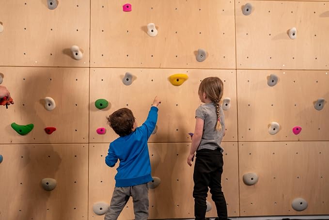 DIY Climbing Wall Panel – 47" x 23.5" Birch Plywood, Pre-Drilled T-Nuts, Textured & Paintable Surface – Indoor Home Gym & Kids Playroom Rock Wall Panel (Climbing Holds Not Included) (Natural)