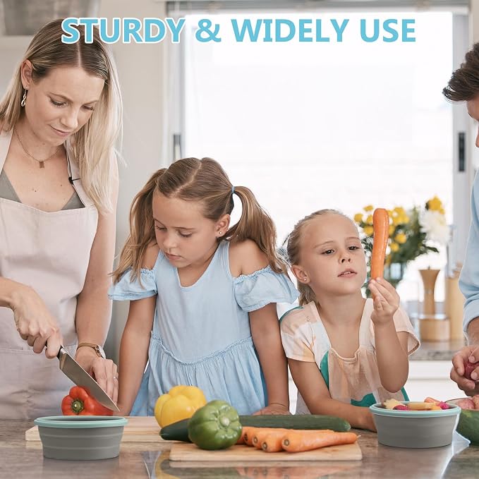 4 Pcs Collapsible Bowls with Lids Silicone Camping Food Storage Container Expandable Folding Salad Lunch Box Travel Container for Hiking Camping