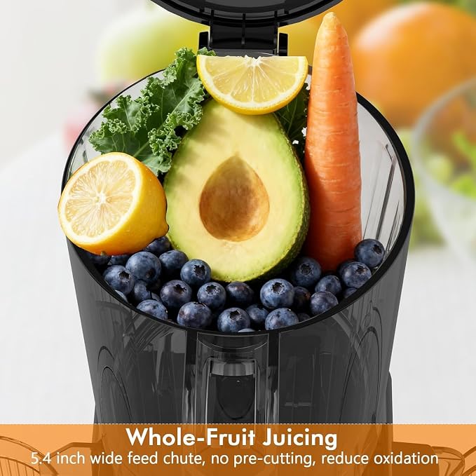 Electactic Slow Juicer Machine with 300W Pure Copper Motor, 5.4-Inch Wide Chute & Reverse Function, Stainless Steel Juicer for Family Daily Use
