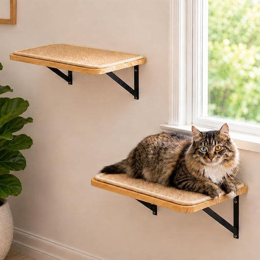 2PCS Cat Wall Shelves with Scratching Mat, 16.6x9.7 Inch Solid Pine Wood Wall Mounted Kitten Floating Shelf, Window Perch Hammock, Cats Wall Furniture for Cats Sleeping, Playing, Climbing