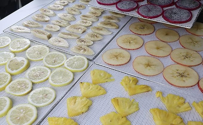 Silicone Dehydrator Sheet Compatible with Excalibur Digital Dehydrator DH06SCSS13 DH06SSSS13-6-Pack Non-Stick Reusable Tray Liners - BPA-Free Easy Clean - Healthy Snacks - Jerky Herbs Fruit