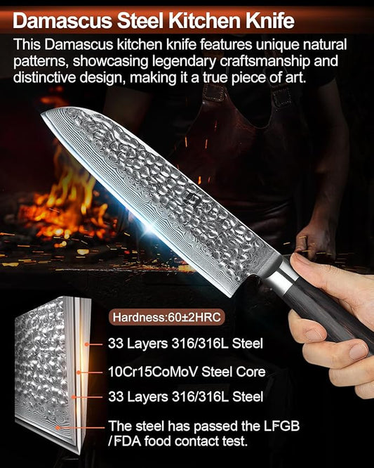 XINZUO Kitchen Cutting Knife Set of 5 Piece,67 Layers Hammered Damascus Blade,Razor Sharp Japanese-Style Chef Knife Set with Pakkawood Handle,Gift Box