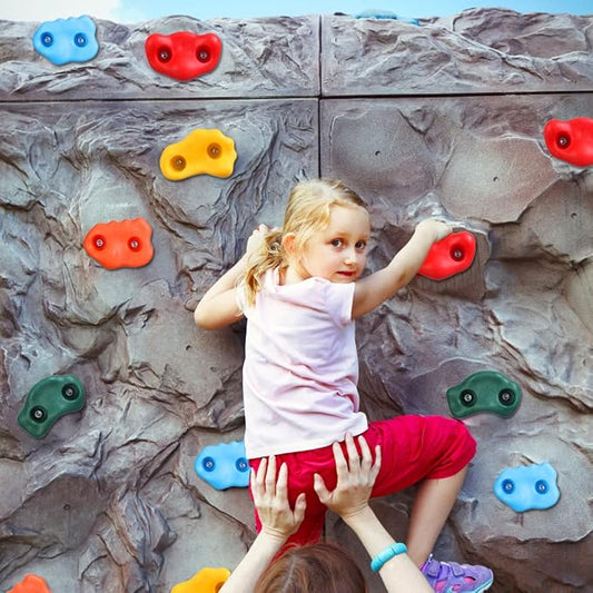 25 Rock Climbing Holds for Kids Climber With Hardware, Wall Holds and Grips for Indoor and Outdoor Playground Play Set
