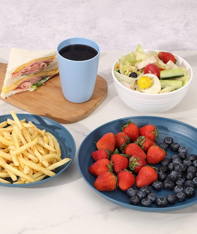 Quatish 16 Piece Plates and Bowls Sets for 4, Unbreakable Dinnerware Sets, Plastic Dish Set for Camping, Dishwasher Microwave Safe, Outdoor Kitchen and Apartment Dorm Dinning RV Essentials, Blue