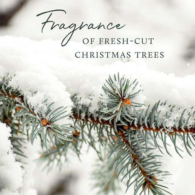 Thymes Frasier Fir Reed Diffuser Set – Includes Reeds, Fragrance Oil, and Frosted Glass Bottle – Fragrance Oil Diffuser – Room Fresheners – Luxury Home Decor – Silver (Statement, 4 fl oz)