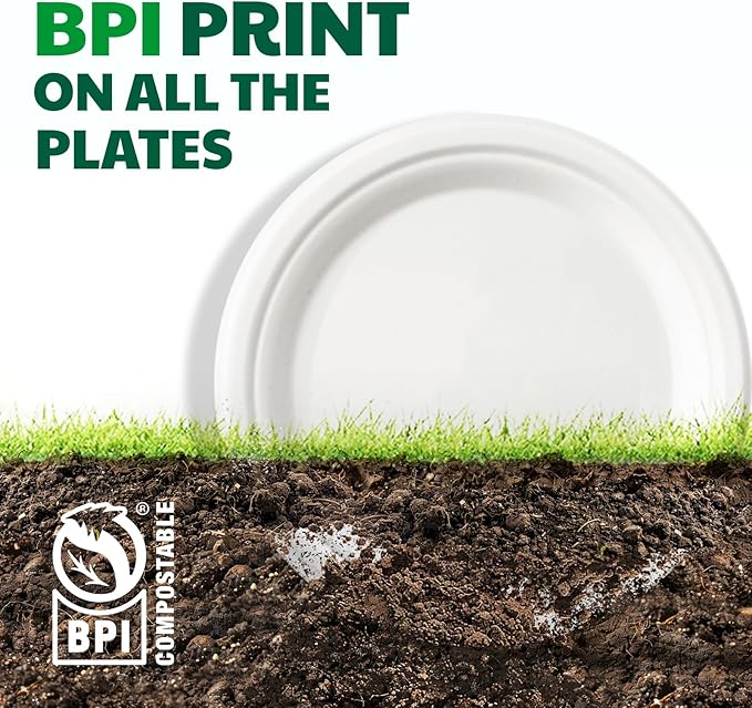 100% Compostable Paper Plates, 6 Inch, 125 Count, Heavy Duty Disposable Plates by Biodegradable Bagasse, Dessert Plates Bulk for Party | Microwave-Safe | Soak-Resistant, Cut Resistant
