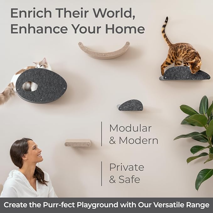 Accessory ADD-ON Curved Shelf Facade Covers Compatible with Cat Wall Shelves by Pryde Pets - 100% Sustainable PET Felt - Climber Sold Seperately - Cats Hammock Privacy and Safety Bumpers (Charcoal)