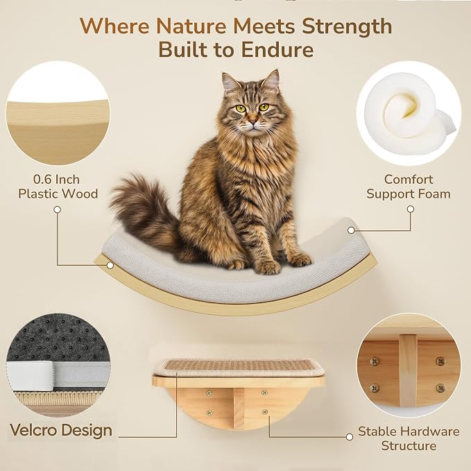 Cat Window Perches, Curved Cat Wall Beige Bed and 2 Floating Wall Steps, Wall Mounted Climbing Shelves for Sleeping, Playing, and Lounging