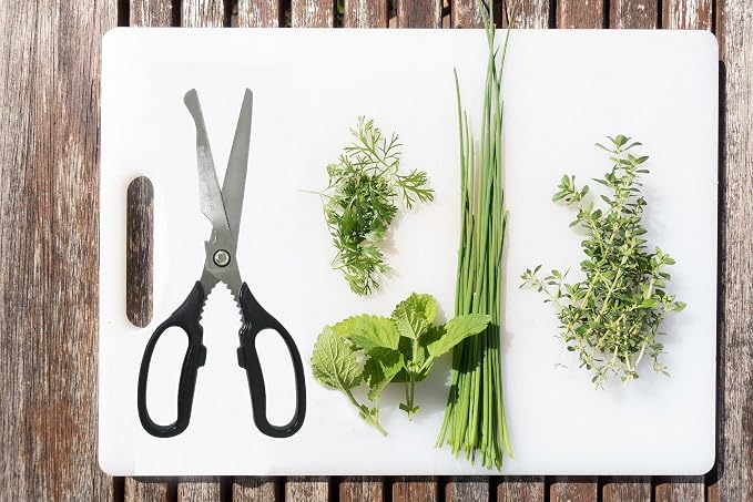 Korean BBQ Kalbi Meat Cutting Scissors Large All Purpose Stainless Steel Utility Kitchen Shears for Food