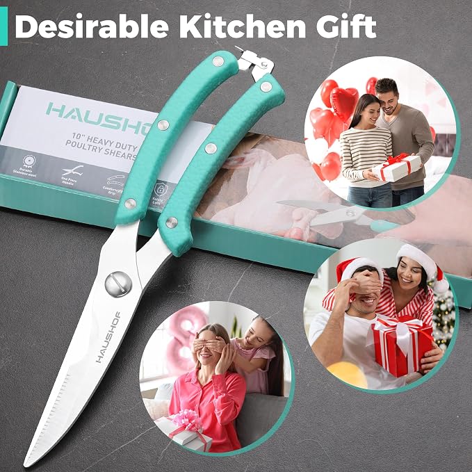 HAUSHOF 10" Poultry Shears, Stainless Steel Kitchen Scissors for Food | Serrated Blade, One-Piece Handle, Spring-Assisted Cutting, Safety Lock, Poultry, Meat, Fish & Bone Prep