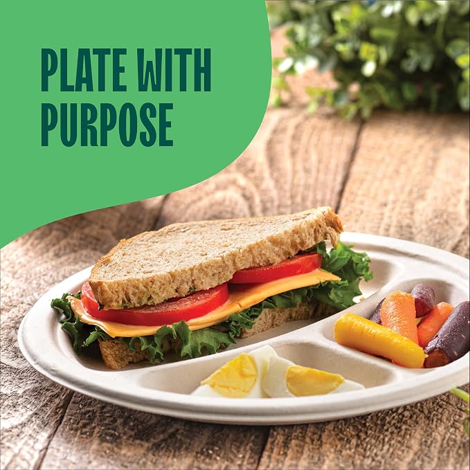 100% Compostable, 3 Compartment, Disposable Paper Plates [125-Pack] - {PFAS Free} - {BPA Certified} - [9 Inch] Heavy Duty Biodegradable Bagasse Sectional Lunch Trays + Dividers - Divided Platte Tray | Eco-Friendly Biodegradable 3-Compartment Lunch Tray...