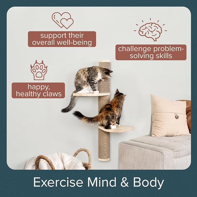 Cat Climbing Wall System – Modern Floating Shelves & Perches for Cats - Sunrise Steps | Ascentials by FurHaven