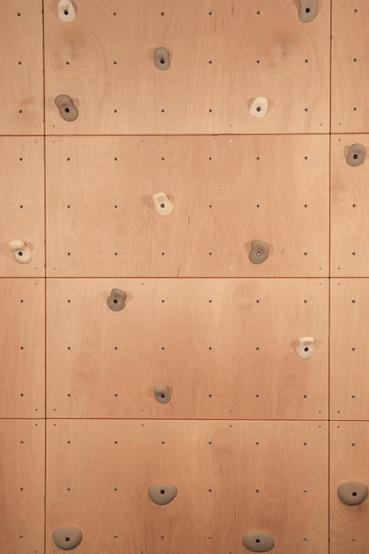 DIY Climbing Wall Panel – 47" x 23.5" Birch Plywood, Pre-Drilled T-Nuts, Textured & Paintable Surface – Indoor Home Gym & Kids Playroom Rock Wall Panel (Climbing Holds Not Included) (Natural)