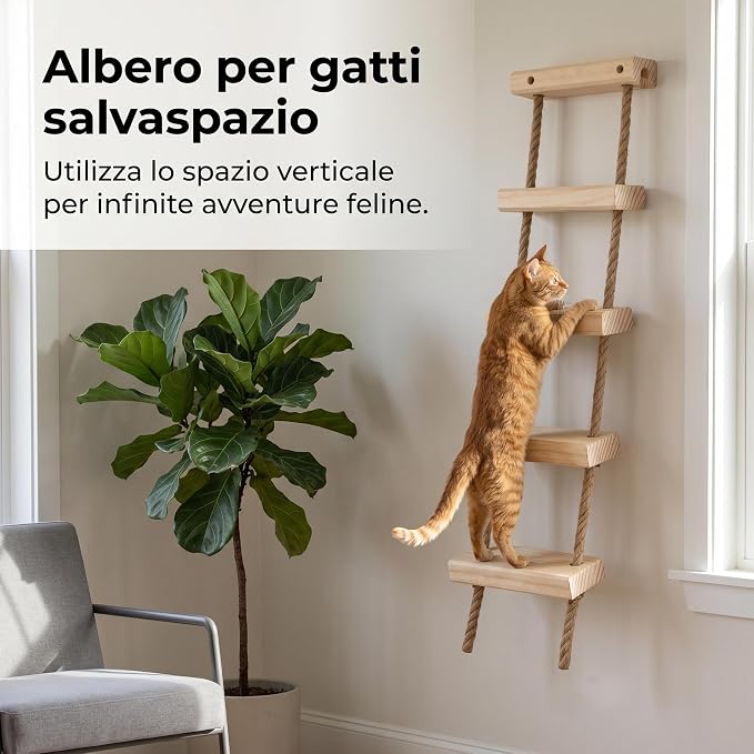 with Shelves for Climbing and Play, Large Jumping Platform