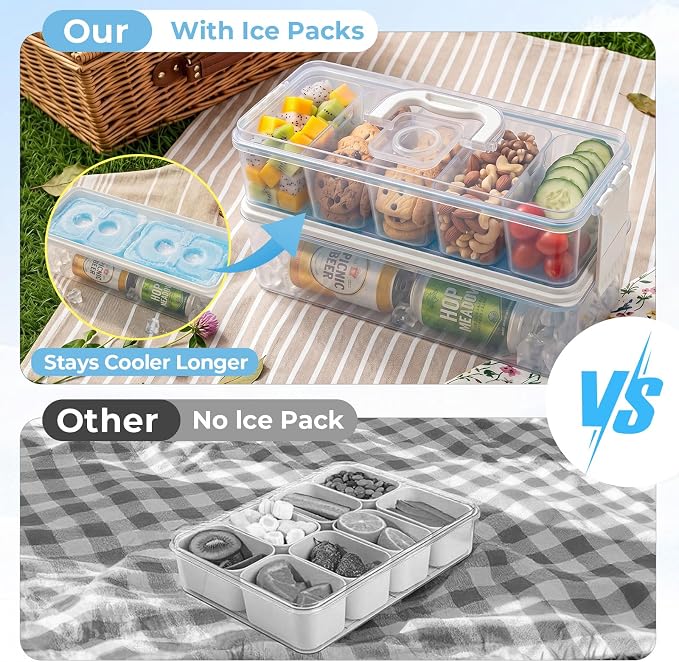 Homelove Snackle Box Container with 2 Plastic Ice Packs, Snack Organizer Divided Serving Tray with Lid and Handle, Double-layer Tray and 5-Compartment Snack Platter for Travel Party Beach Picnic