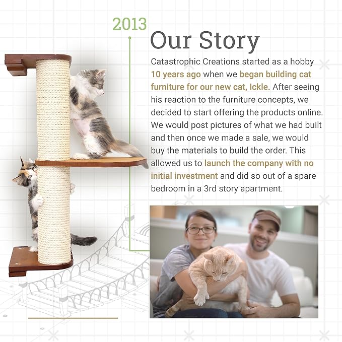 CatastrophiCreations The Roman Cat Fort - Multiple-Level Cat Hammock & Climbing Activity Center Wall-Mounted Cat Tree Shelves