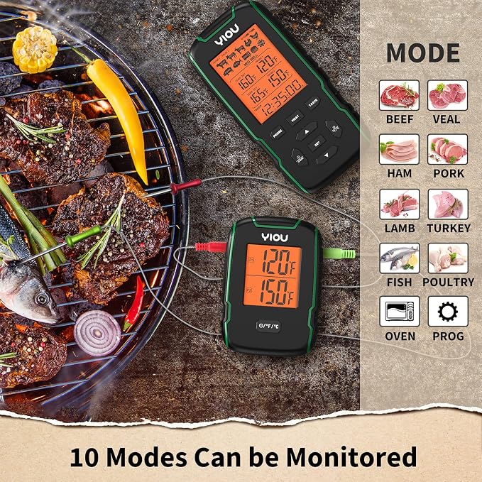 Wireless Meat Thermometer for Cooking, Digital Meat Thermometer with 2 Probes, 500FT Ultra Accurate & Fast Food Thermometer for Oven, Smoker, Green